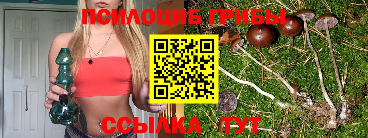Псилоцибиновые грибы мицелий Тейково