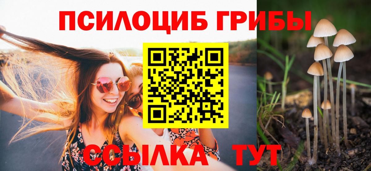 Тейково  Псилоцибиновые грибы GOLDEN TEACHER  Галлюциногенные грибы MAGIC MUSHROOMS  Вход с VPN 